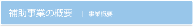 補助事業の概要